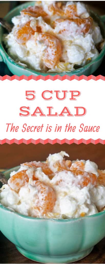 5 Cup Salad