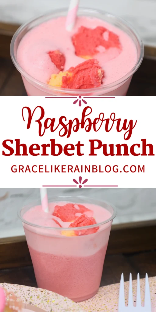 Raspberry Sherbet Punch