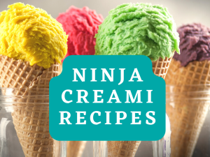 Ninja Creami Recipes