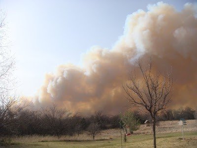 Wildfire Evacuation