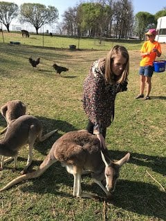 Kangaroos and joeys at Wild Wilderness Drive Through Safari in Gentry, Arkansas