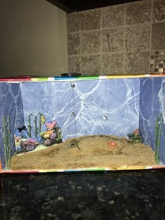 Ocean biome in a box