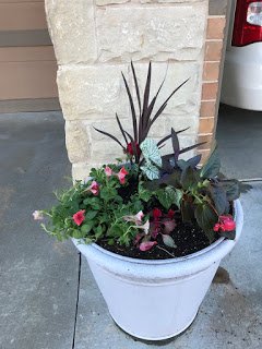 Spring flowers in planter