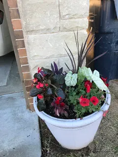 Spring flowers in planter