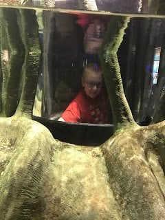 Kids Exhibit at Aquarium