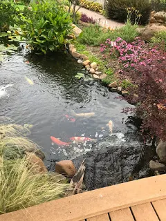 Koi Pond at Tulsa Garden Center at Woodward Park