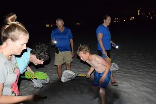 Catching Sand Crabs