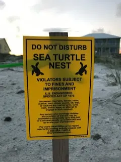 do not disturb sea turtle nest sign