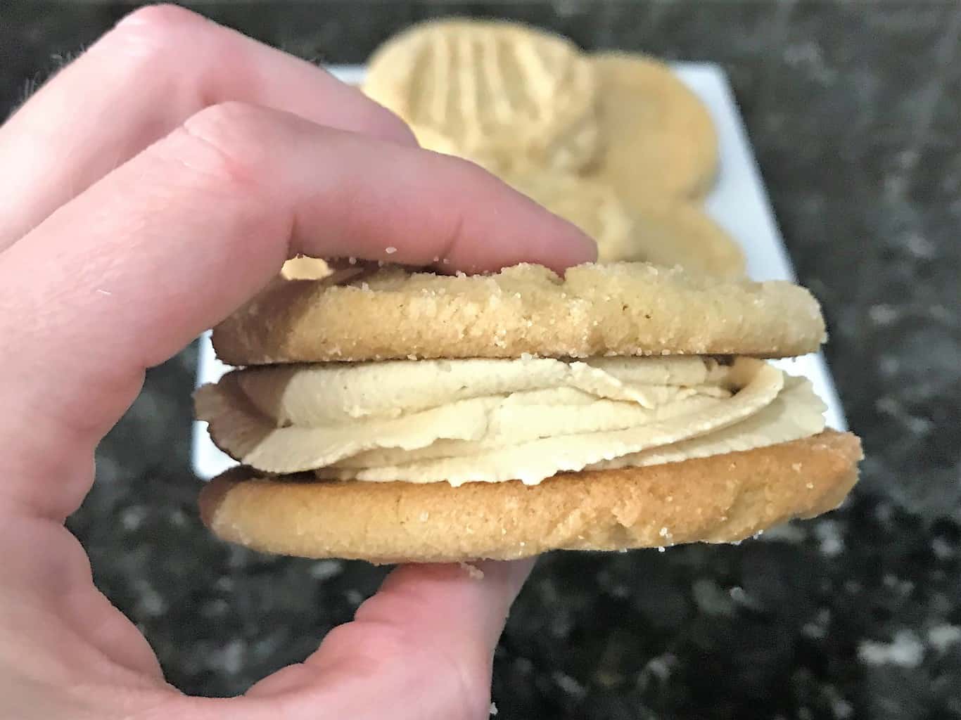 The Best Peanut Butter Sandwich Cookies – Homemade Nutter Butter