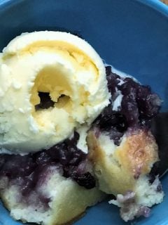 Bowl of Blueberry Cobbler and Ice Cream