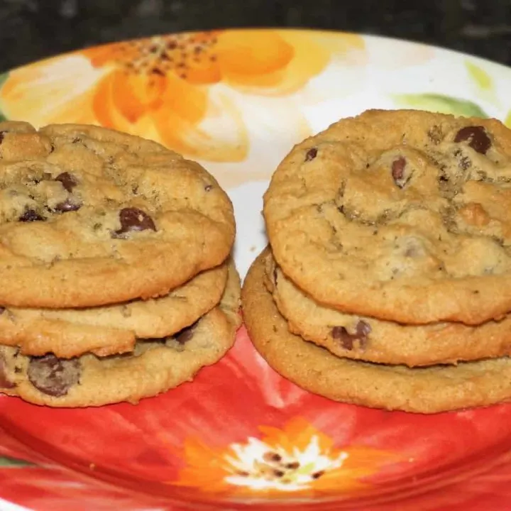 Short Stack Peanut Butter Chocolate Chip Cookies