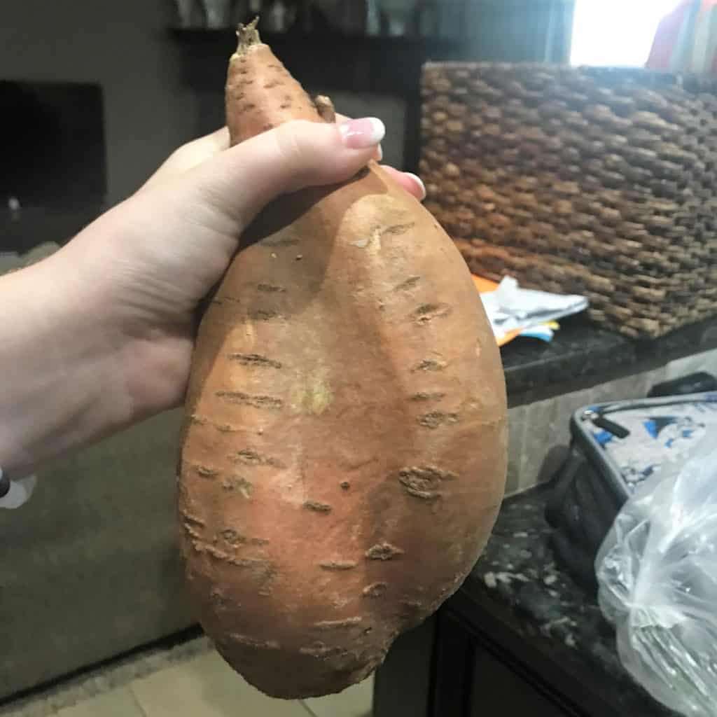 Huge Sweet Potato