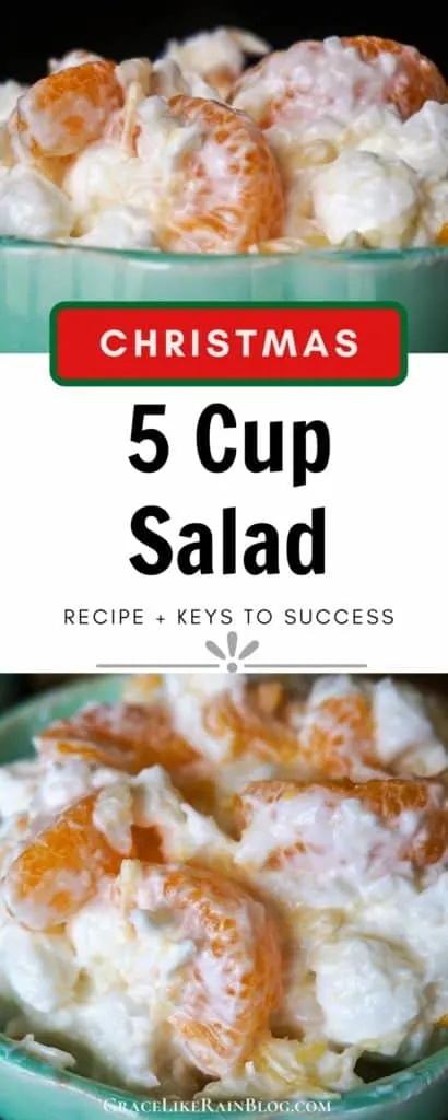 Christmas 5 Cup Salad
