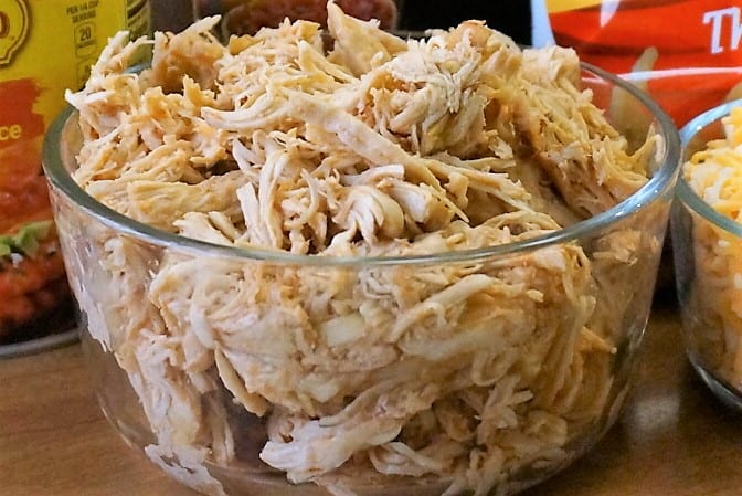 Bowl of Salsa Chicken