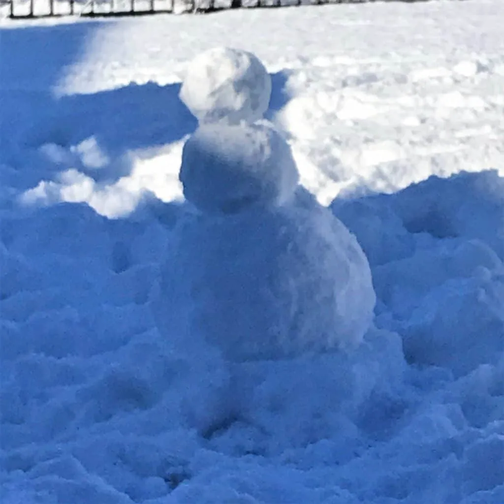 No Face the Snowman