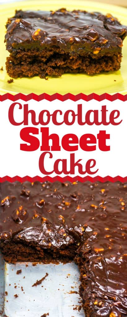 Chocolate Sheet Cake