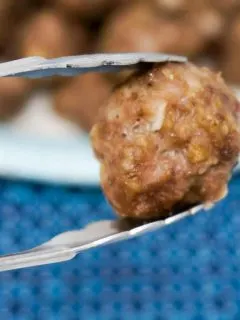 one Air Fryer Meatball