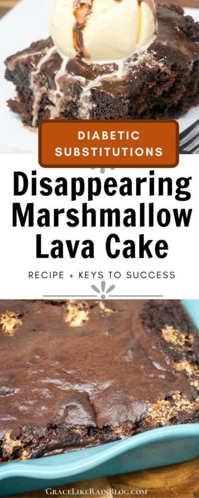 Disappearing Marshmallow Lava Cake with Diabetic Substitutions