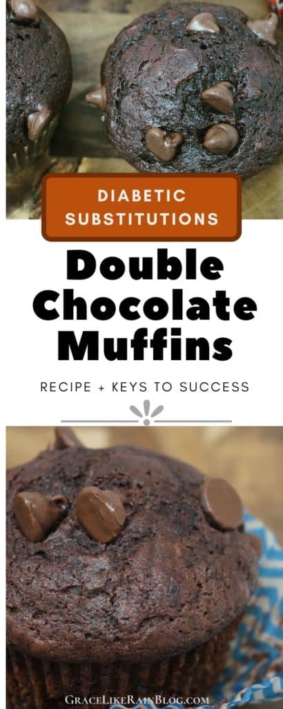 Double Chocolate Muffins with Diabetic Substitutions
