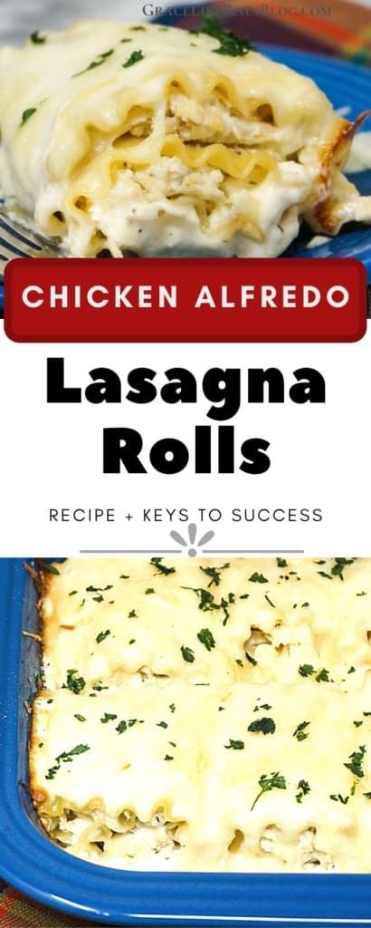 Chicken Alfredo Lasagna Rolls