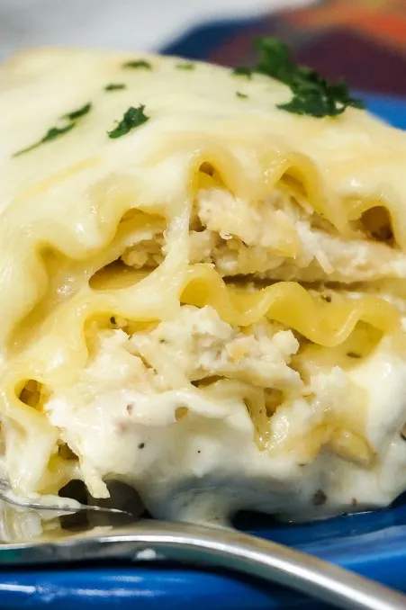 Lasagna rolls with chicken and alfredo sauce