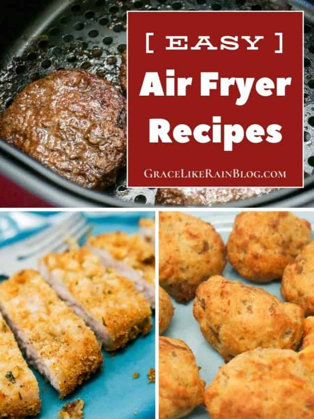 Easy Air Fryer Recipes Web Story