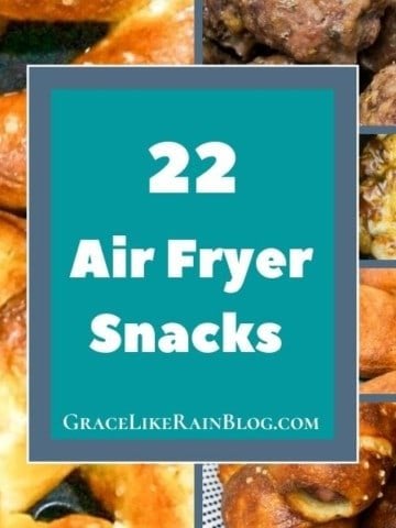 Air Fryer Snacks Recipe Roundup