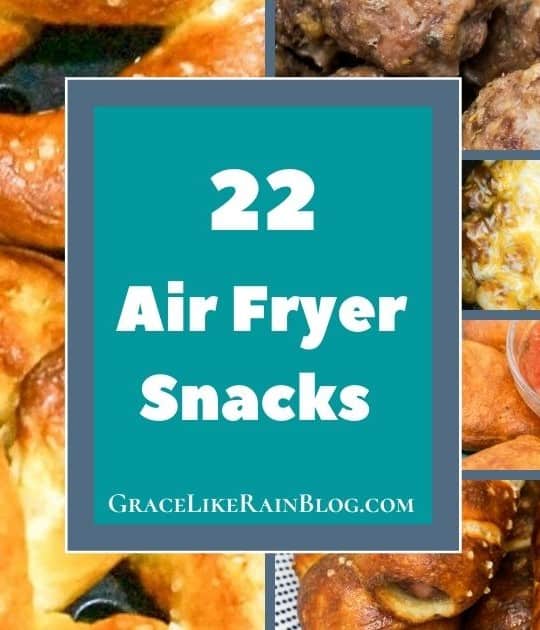 Air Fryer Snacks Recipe Roundup