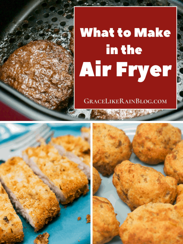 What to Make in the Air Fryer Web Story