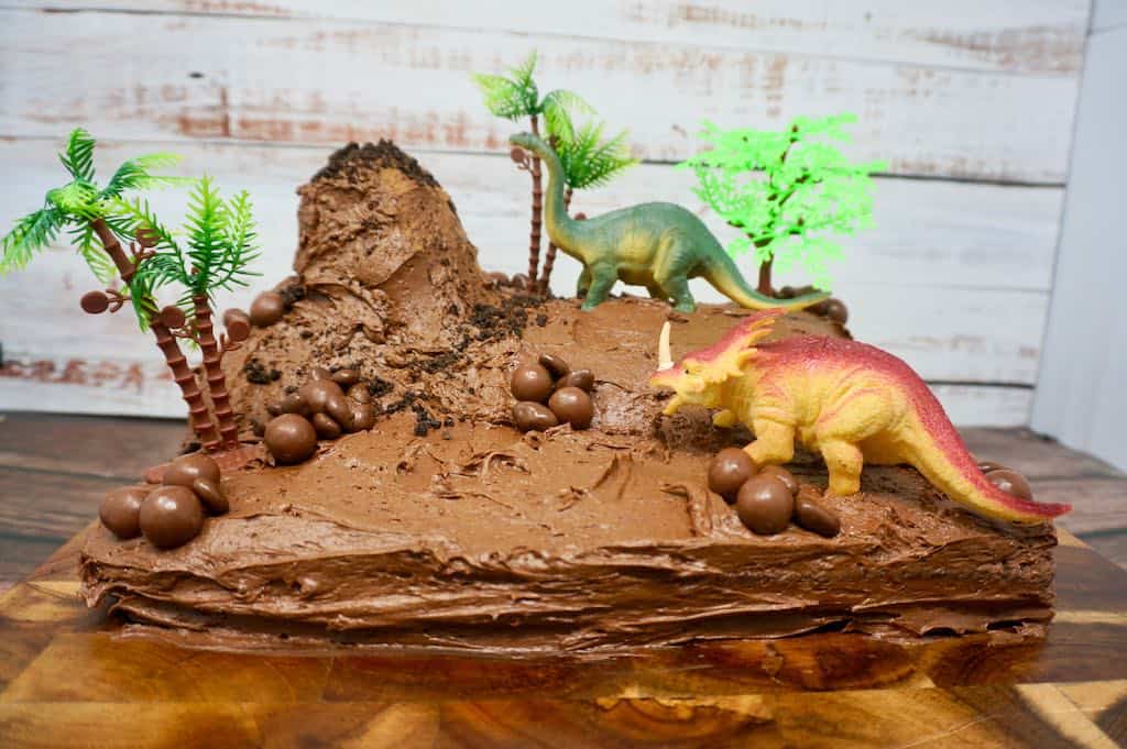 Chocolate Dinosaur Cake - Grace Like Rain Blog