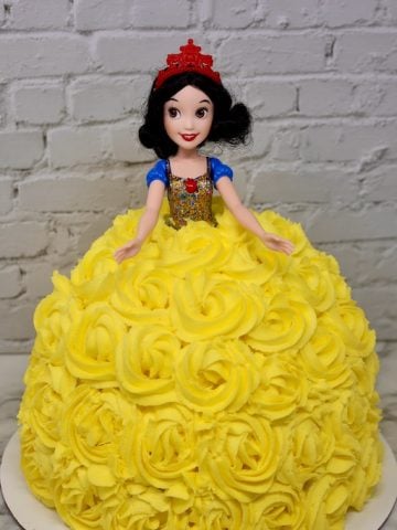 Snow White Doll Dress Cake