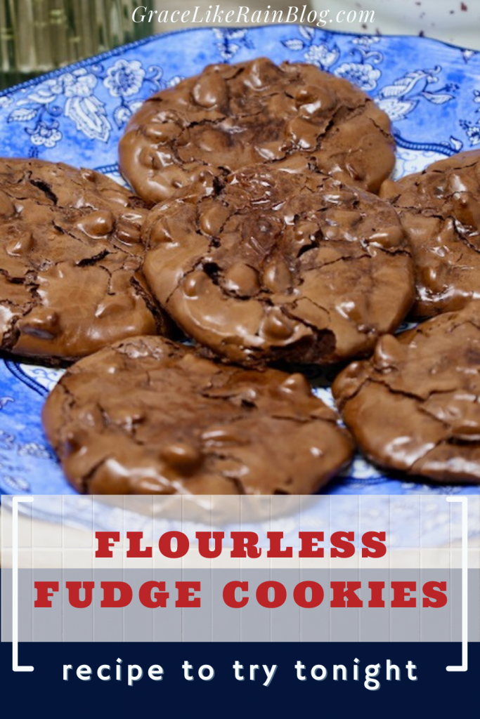 Flourless Fudge Cookies with powdered sugar