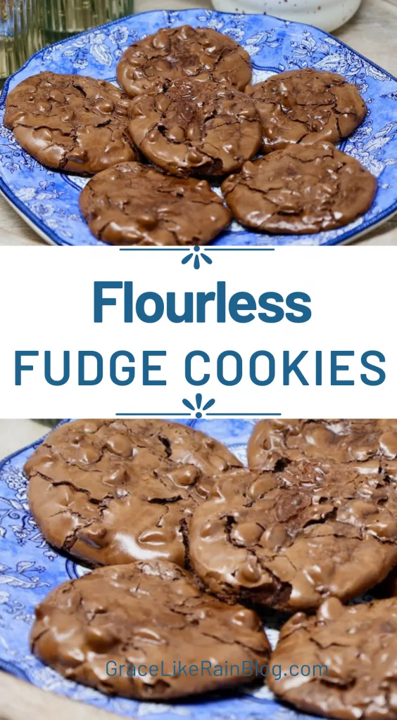 Flourless Fudge Cookies with powdered sugar