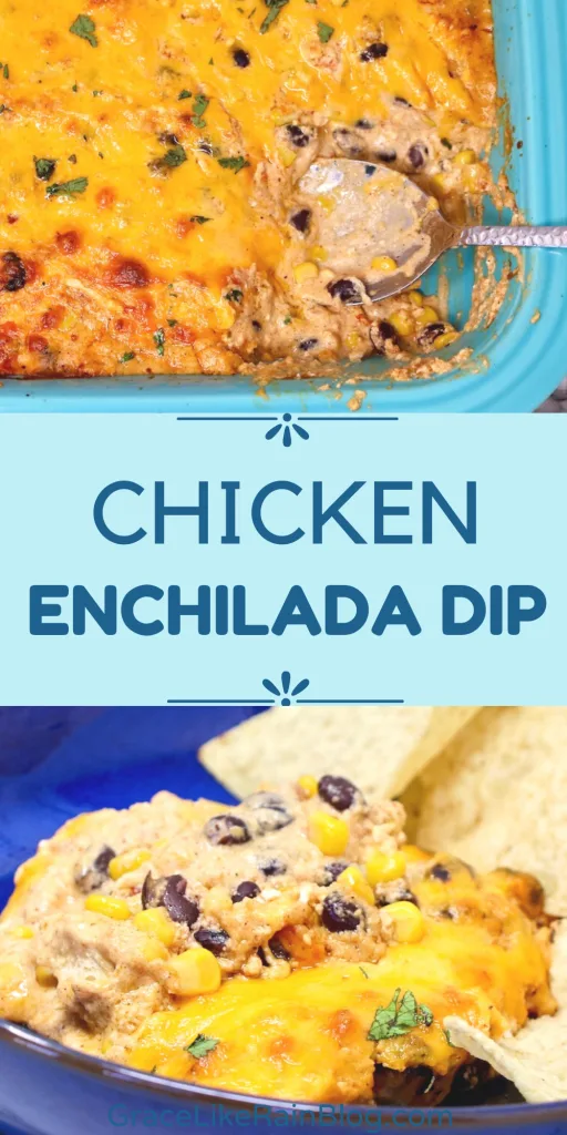 Cheesy Chicken Enchilada Dip Recipe