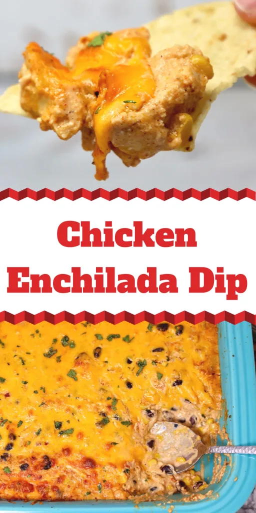 Chicken Enchilada Dip Recipe