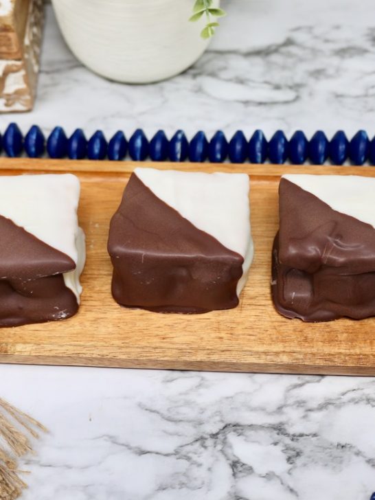 Chocolate Dipped S’mores (Rocky Mountain Chocolate Factory Copycat Recipe)