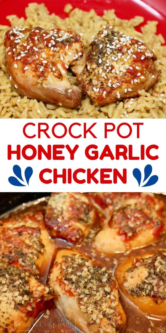 Crock Pot Honey Garlic Chicken Recipe - Grace Like Rain Blog