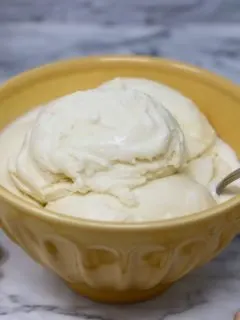 ninja creami coconut ice cream