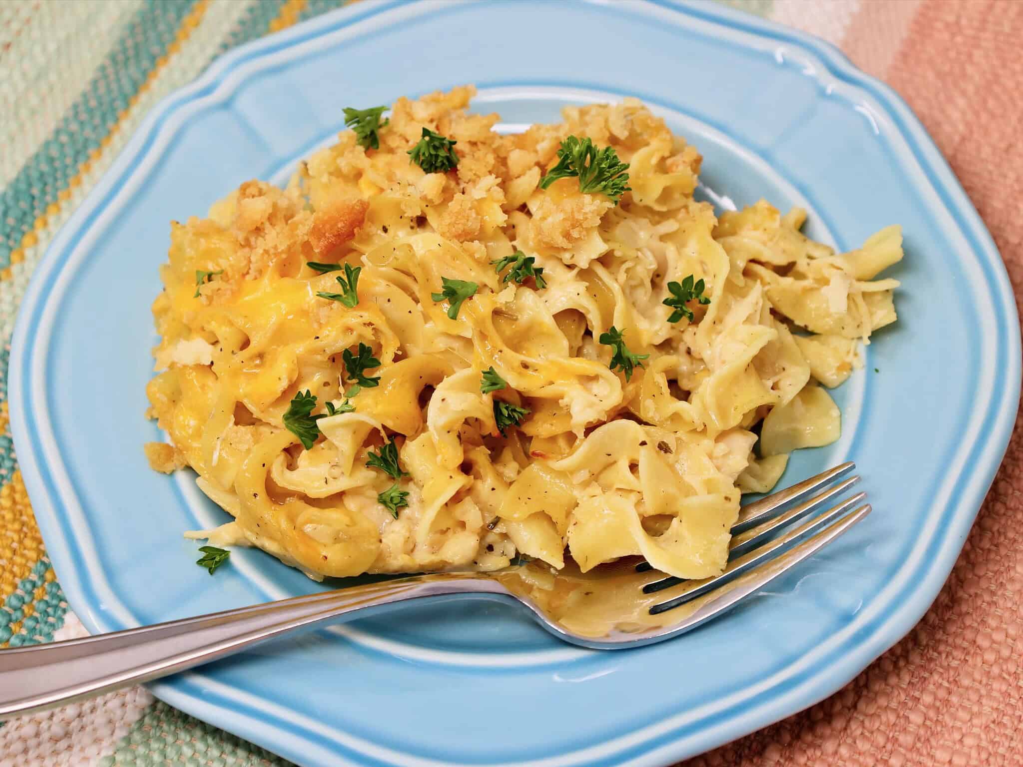 a plate of canned chicken noodle casserole ready for family dinner