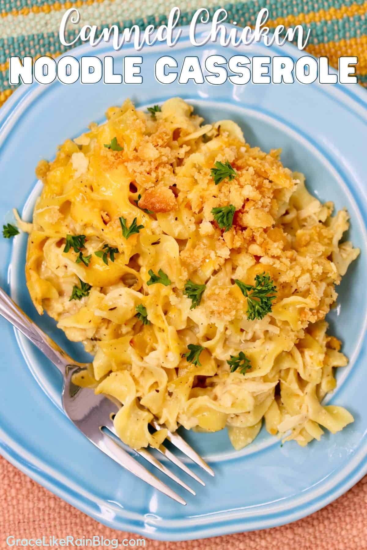 Close-up of creamy chicken noodle casserole with tender noodles and shredded chicken